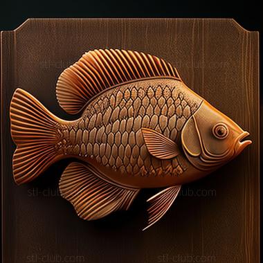 3D model st A real gourami fish (STL)